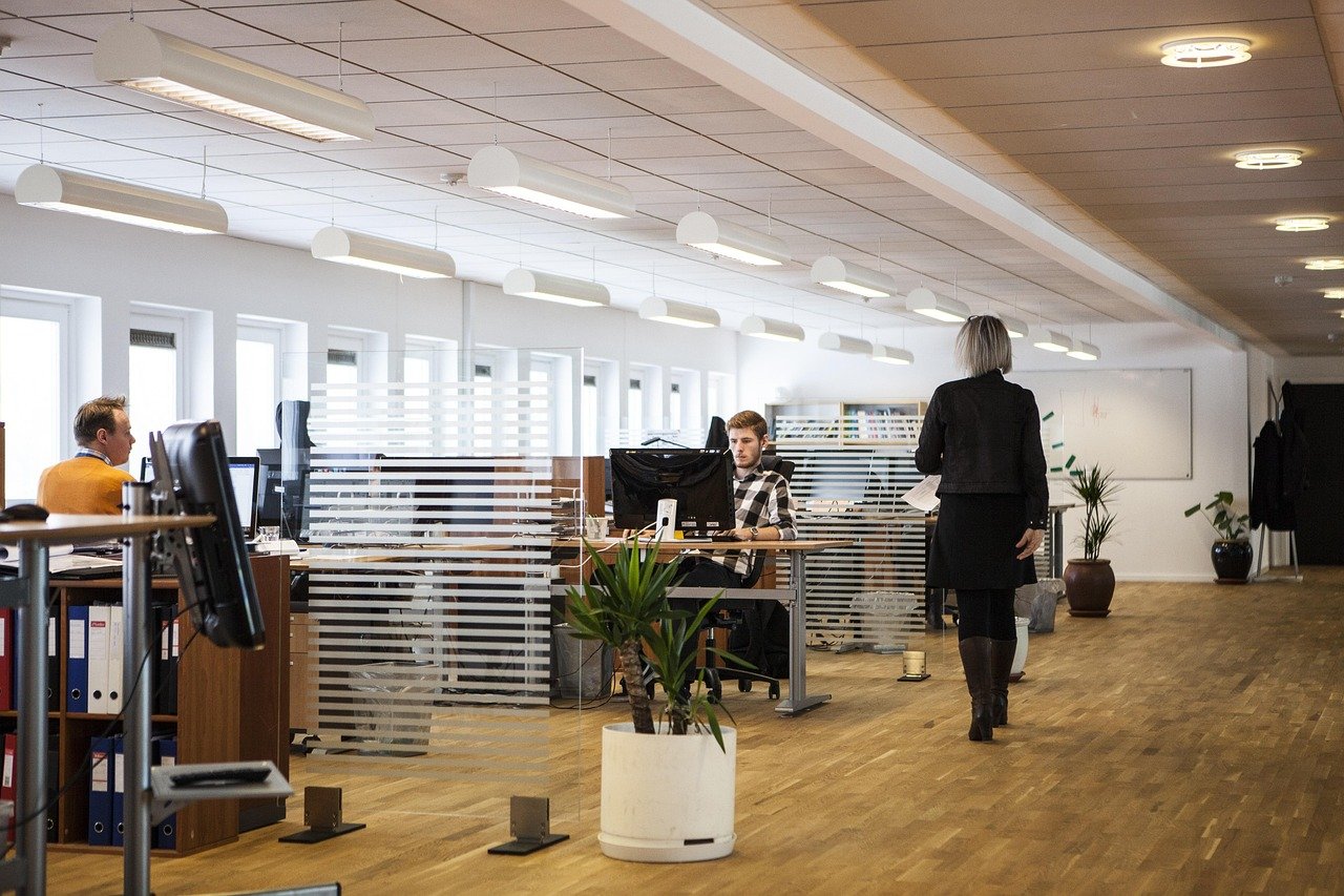 office, business, company, office, office, office, office, office-2360063.jpg